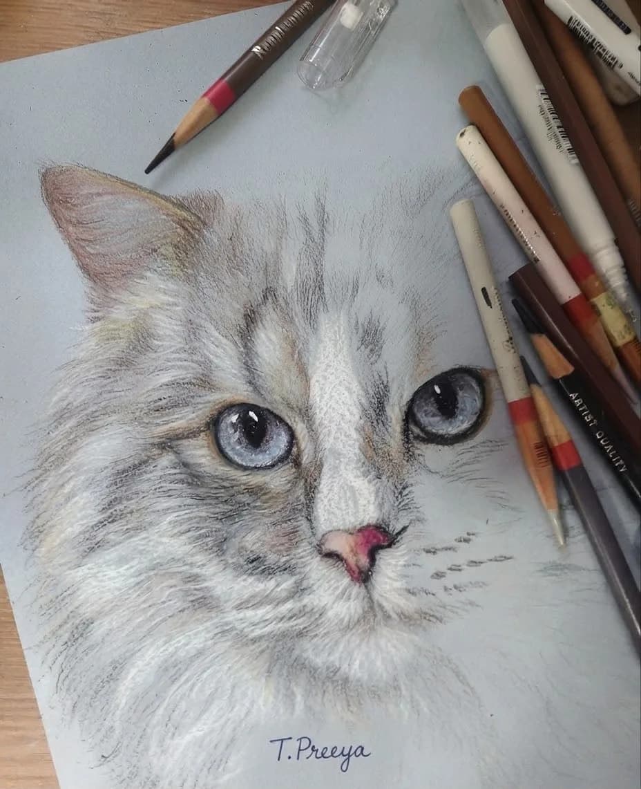 Blue Hour Cat