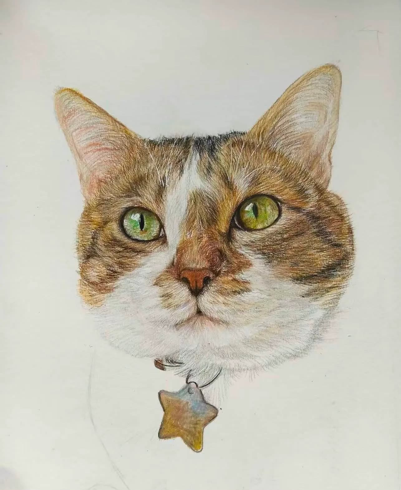 Star Collar