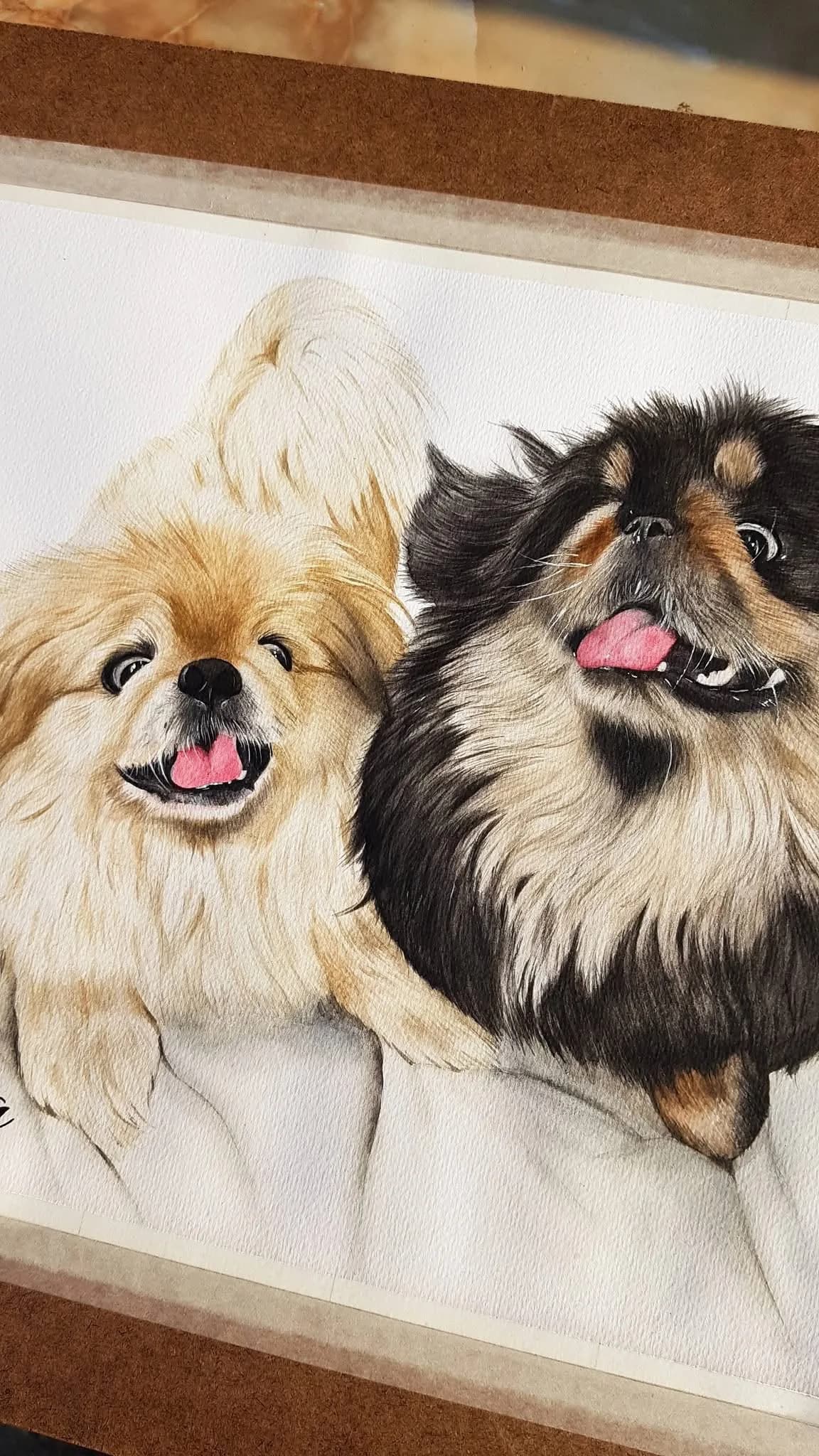 Two Pekingese